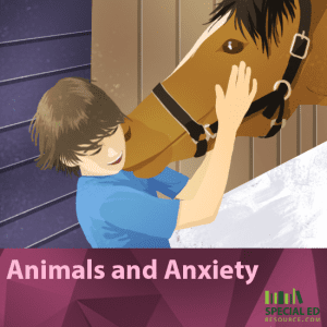 Animals and Anxiety