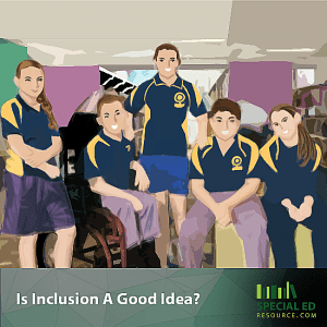 Is Inclusion A Good Idea?