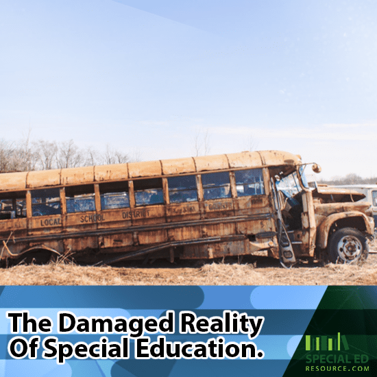 The Damaged Reality Of Special Education