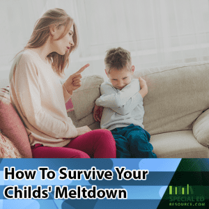 Mom with son having a tantrum with text overlay How To Survive Your Child's Meltdown