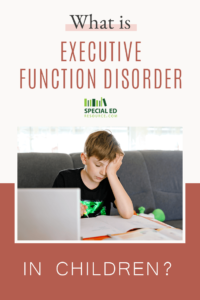 A frustrated young boy sits on a couch at home in front of a laptop, hand on forehead, with papers and a book spread out on a desk. Above him is the question 'What is Executive Function Disorder in Children?'